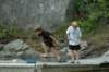 dsc_0262_small.jpg