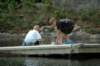dsc_0265_small.jpg