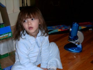 hpim0370.jpg